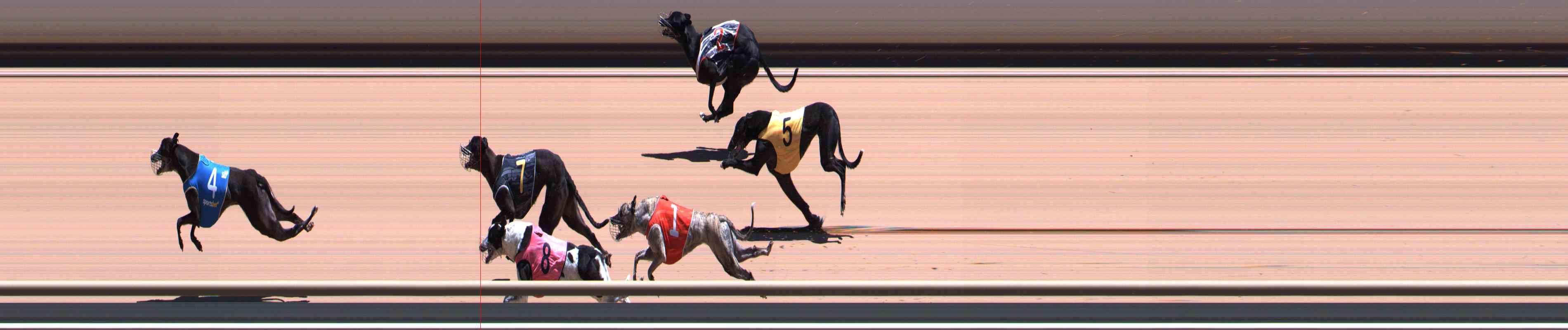 Race result finish photo